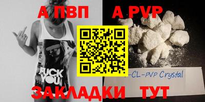 шишки Обь