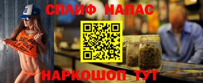 шишки Обь