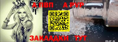 шишки Обь