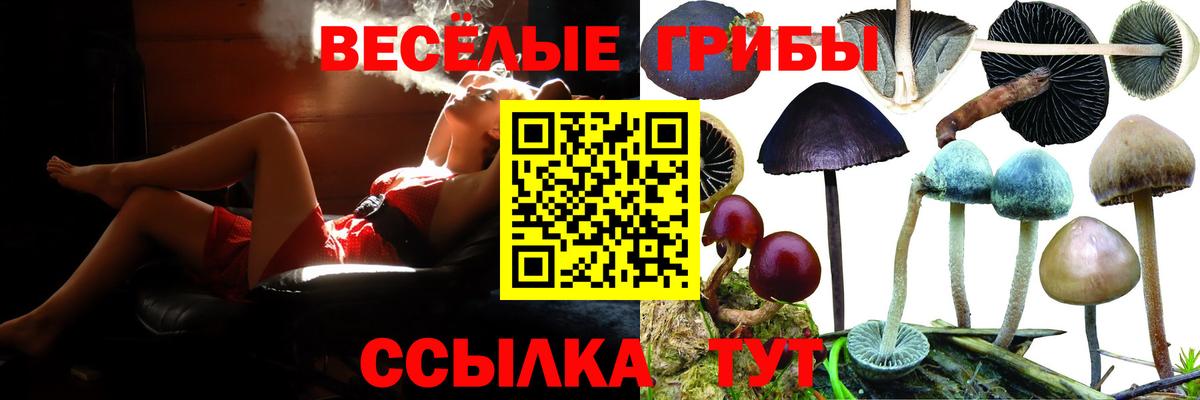 Галлюциногенные грибы GOLDEN TEACHER  купить наркоту  Сегежа  Вход с VPN 